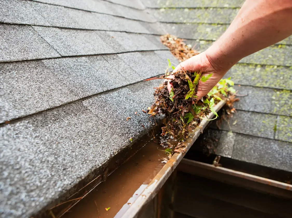 Whatcom Roof Cleaning crew on the job