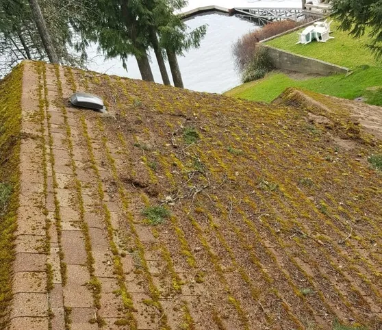 Roof inspection in Bellingham before treatment