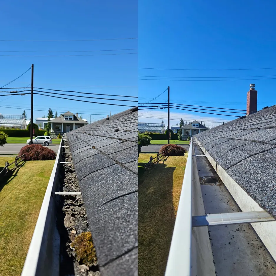 Roof and gutter before and after professional cleaning in Whatcom County